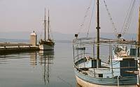 Mai 1983. Kroatien. Dalmatien. ehemaliges Jugoslawien. Reisestationen: Adria.  Split. Dubrovnik. Korcula (Insel) - Hvar (Insel)  Boote im Hafen. Mittelmeer