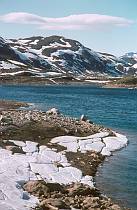 um 1960. Skandinavien.  Norwegen - Scandinavia. Norway