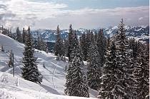 1964. Österreich. Austria.  Oberjoch. Winter. Schnee. Eis.