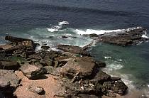 1963. Portugal. Meer. Felsenküste.