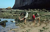 1963. Portugal. Strand. Meer. Frau mit Kindern beim Ausnehmen von Fischen