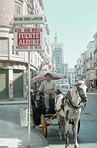 1968. Portugal. Funchal. Mann auf einer Pferdekutsche