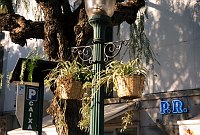 November 2000. <br>Portugal. Tavira. Blumentöpfe an einer Straßenlaterne.