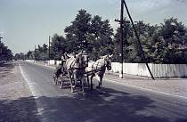 1960er. Rumanien. Romania. Braila. Pfedespann mit Wagen. Karre