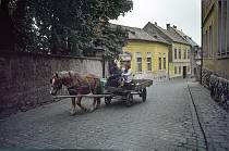 1978. Ungarn. Hungary.  Ein Pferd zieht einen Anhänger.