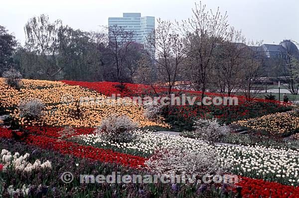 1977. Hamburg. Park Planten un Bomen.