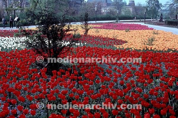 1977. Hamburg. Park Planten un Bomen.