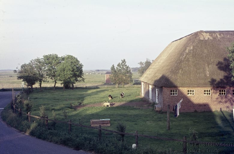 1976. Niedersachsen. Ostfriesland. Insel Föhr. Reetdach