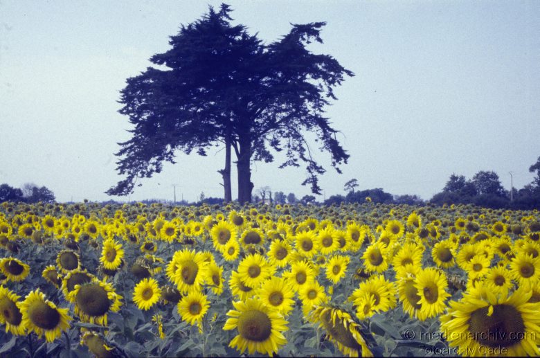 1994. Frankreich. Paris