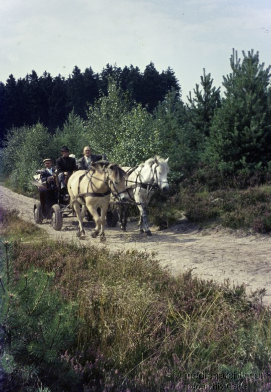 Pferdekutsche