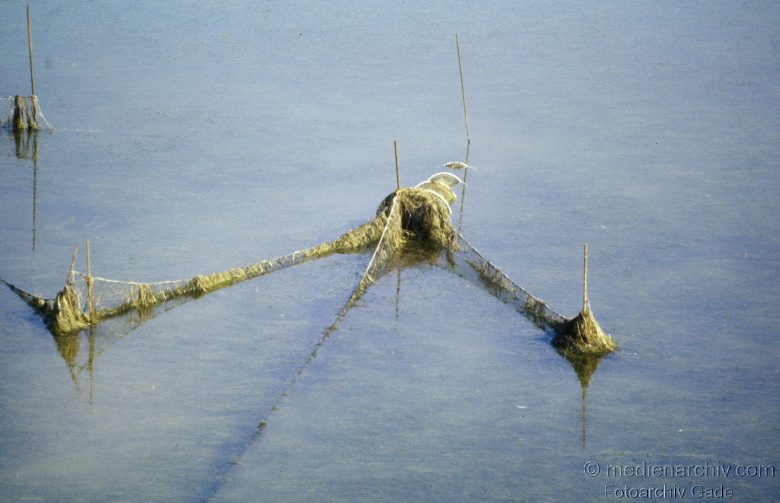 1978. Schleswig-Holstein. Sylt. Fischreusen an der Küste. Nordsee