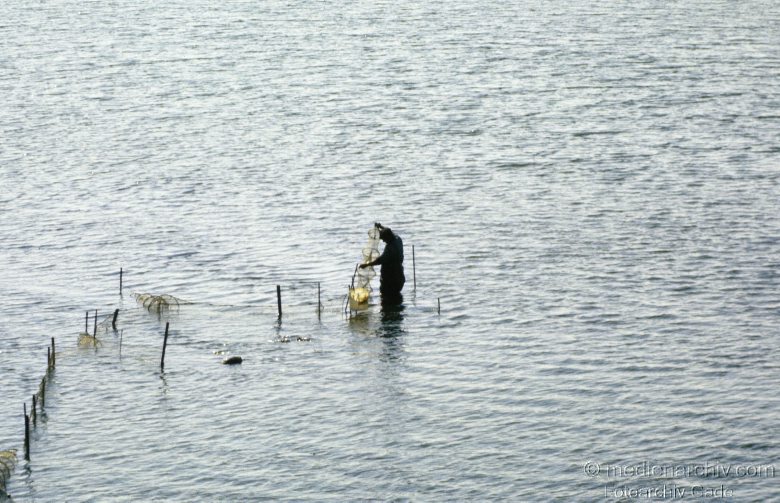 1978. Schleswig-Holstein. Sylt. Fischreusen an der Küste. Nordsee