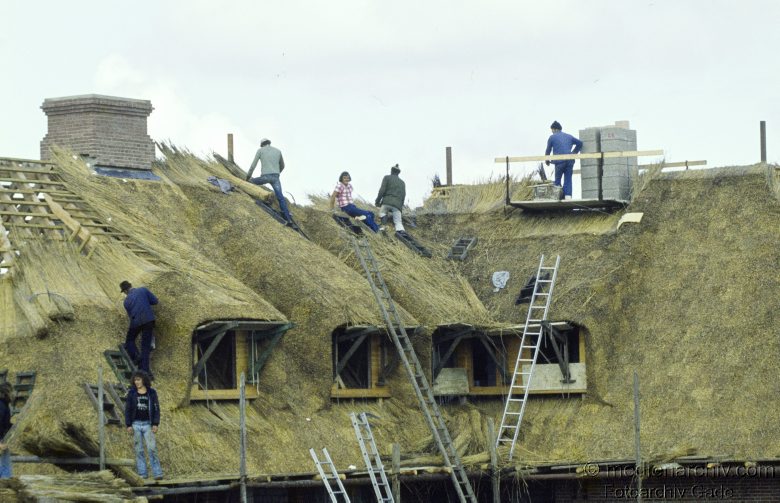 1978. Schleswig-Holstein. Sylt. Decken eines Reetdachs