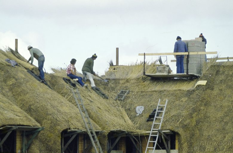 1978. Schleswig-Holstein. Sylt. Decken eines Reetdachs