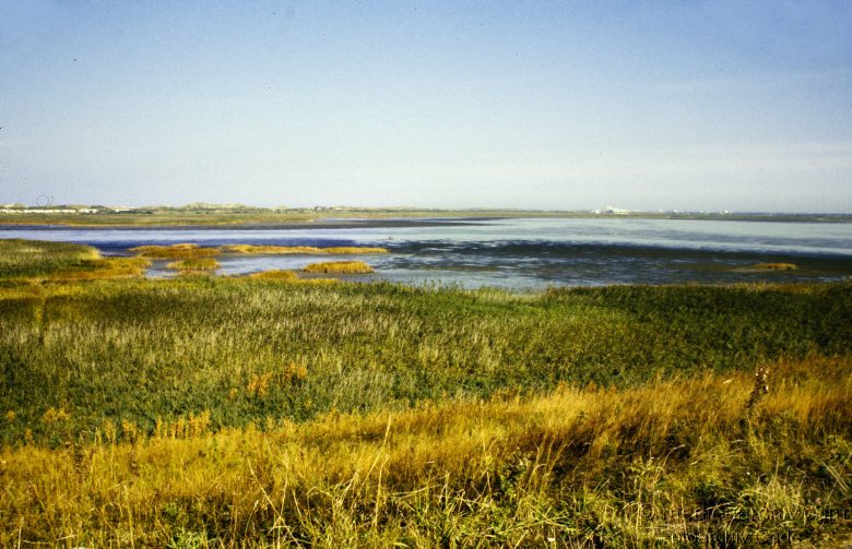 1978. Schleswig-Holstein. Sylt. Nordseeküste