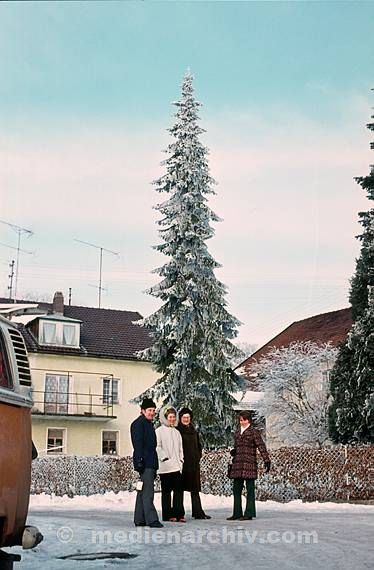 1964. Winter. Schnee. Baum. Räume. Tanne