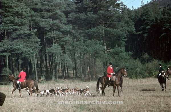1958. DDR. Hubertusstock. Jahreszeiten. Wald. Jagd mit Pferd und Hunden