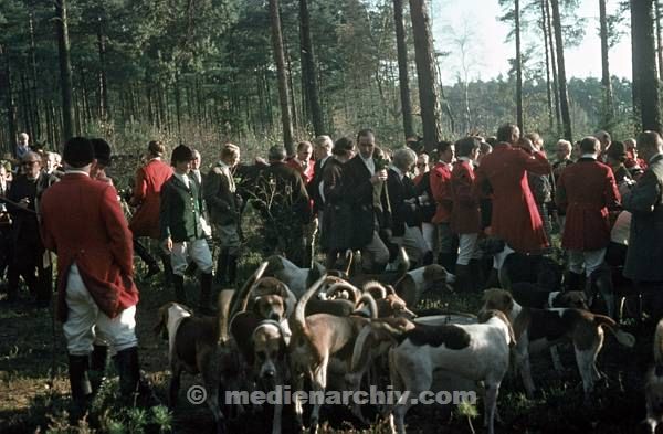 1958. DDR. Hubertusstock. Jahreszeiten. Wald. Jagd. Hunde