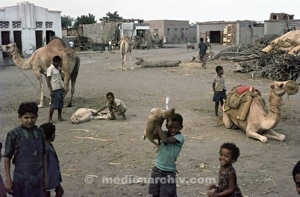 1966. Süd-Jemen. Adan. Aden. Kinder und Kamele.