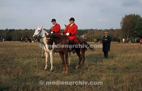 Deutschland. 1964. Zwei Bläser zu Pferde bei einer Jagd. Reiten, Reiter, Jagdhorn