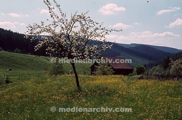 1963. Niedersachsen. Harz.