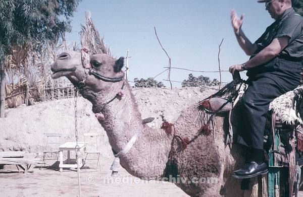 1970er. Israel. Jordan. Reiter auf einem Kamel.